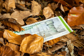 Denmark money. 200 kroner banknote lying among fallen dry leaves. Business finance concept. strength of danish currency, close up