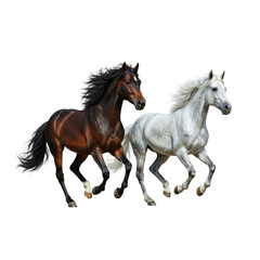 Fototapeta premium Black stallion running silhouette vector illustration isolated on white background