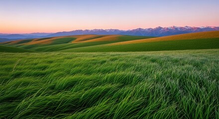 Obraz premium Green hills meet mountains at sunrise