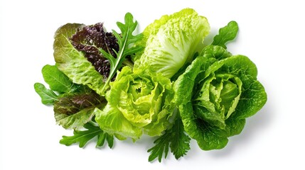 Fresh mixed salad greens including romaine, arugula and red leaf lettuce varieties on white background. Healthy organic vegetables for cooking and nutritious meals