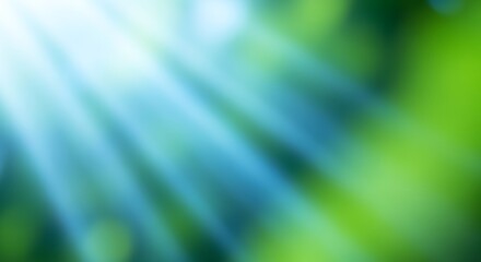 Sunlight streaming through vibrant green leaves creates a peaceful, natural and calming atmosphere