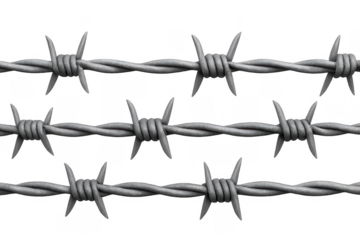 Barbed wire creating a security barrier and confinement