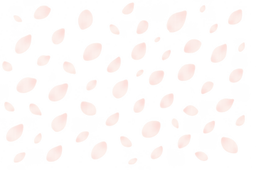 Pink cherry blossom petals falling transparent background