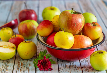 Apples in vintage tin bowl and on rustic wooden table