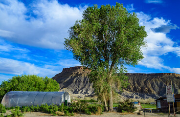Natural landscape in Canyonlands NP is in Utah, USA