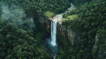 Serene Waterfall in Rainforest: A breathtaking aerial perspective captures a majestic waterfall cascading down a rugged cliff face. Surrounded by vibrant green rainforest.