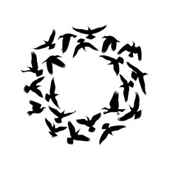Silhouettes of birds in flight forming a circular pattern on a white background.