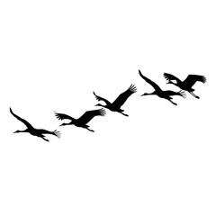 Silhouettes of cranes flying in formation against a white background.
