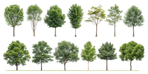 Collection of diverse green trees isolated on transparent background