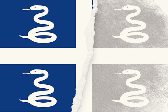 Four depictions of a coiled snake with a pointed tongue, presented with a partially torn paper aesthetic, rendered with a blend of smooth and textured digital illustration techniques.