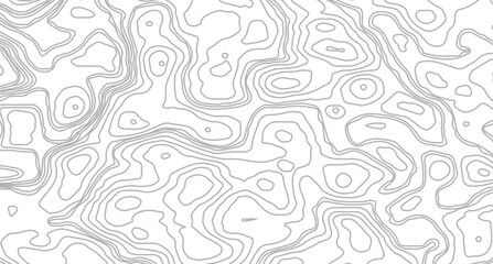 abstract wavy background. topographic contour background. texture of lines. pattern shape in organic wood on white and transparent background
