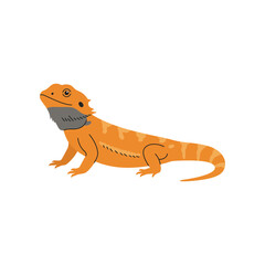 Cute cartoon illustration of a vibrant orange bearded dragon lizard with a grey dewlap and striped tail on a white background