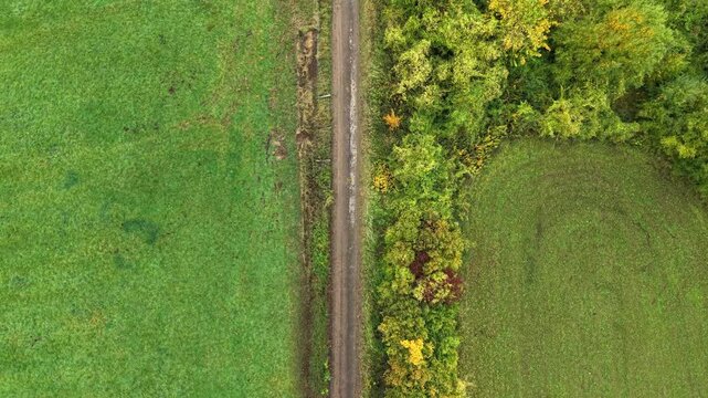 Drone overhead view: Narrow track separates two bright green agricultural fields