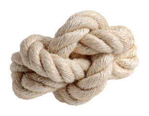 Knot tying techniques workshop venue tutorial video isolated on transparent background