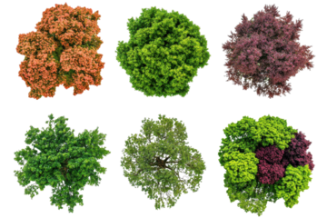 Diverse tree tops showcasing vibrant colors and textures from a bird's-eye view in a natural setting