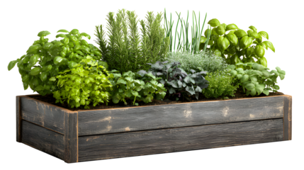 Wooden raised bed filled with various vegetables and herbs planter with isolated on a transparent background