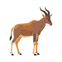 A majestic brown hartebeest antelope with distinctive curved horns stands alertly on a white background in a realistic illustration
