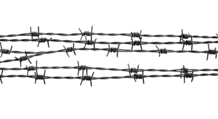 Sharp Barbed Wire Strands Graphic Representing Security, Restriction, and Danger Border Element isolated PNG with Transparent Background