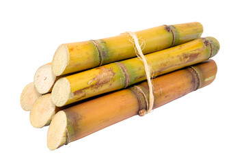Sugar cane cut into pieces, isolated white background