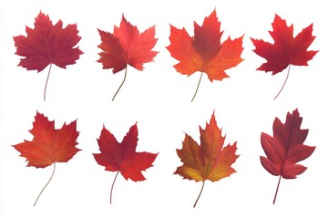 Fototapeta premium Autumnâ€™s masterpiece: a canvas of vibrant red and yellow leaves. Authentic moment. Maple leaves with acorns and pine cones amid a forest-themed backdrop. Daily life. Press photo.