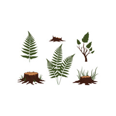 Collection of forest elements including ferns tree stumps and a sapling isolated on a white background for design © RER03
