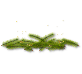 Green Christmas Leaves with Golden Star – Festive Holiday Decoration PNG on Transparent Background