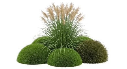 Abstract arrangement of lush green foliage and feathery plumes against a deep void