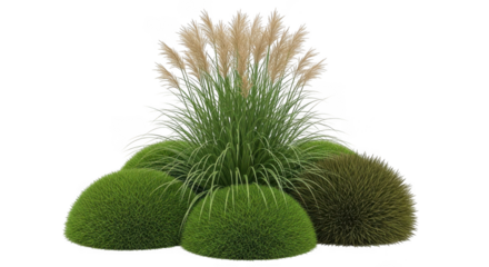 Abstract arrangement of lush green foliage and feathery plumes against a deep void