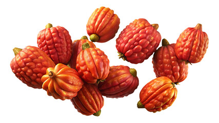 A vibrant collection of unique textured gourds or pumpkins arranged together artistically