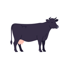 A dark colored dairy cow with pink udder stands facing left on a white background illustrating farm animals and agriculture