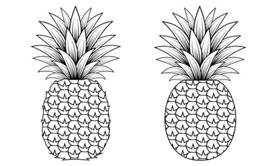Obraz premium Set of Pineapple Outlines for Coloring Book - Vector Line Art Collection