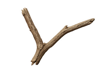 Dry wooden y-shaped branch on transparent background