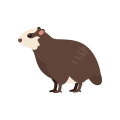 Adorable cartoon capybara with brown fur and white facial markings standing on a white background isolated illustration