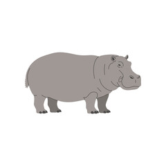 A large gray hippopotamus standing on a white background depicted in a simple flat illustration style with no background elements