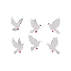 Obraz premium Six elegant white doves in various graceful flying poses with pink feet and beaks symbolizing peace and hope