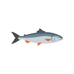 Stylized illustration of a single silver and blue fish with orange fins swimming horizontally against a white background
