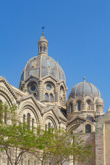 Obraz premium Summertime Greenery Among the Cathedral la Major in Marseille 