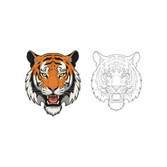 Detailed illustration of a fierce tiger head with vibrant orange fur and black stripes next to a black and white line art sketch of the same animal