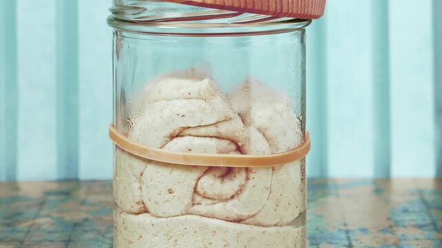 Coiled wheat levito madre sourdough rising slowly during time-lapse in a tall glass jar with condensation on the inside and a wooden lid on top