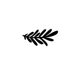 Simple fir leaf line art. Minimalist nature element inspired by evergreen Christmas trees.