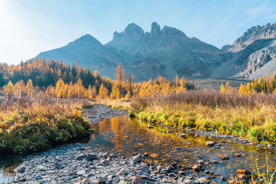 Golden larches glow beneath towering mountain peaks at Wonder Pass, capturing a stunning autumn wilderness filled with vibrant color and pristine alpine beauty.
