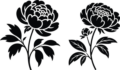 Elegant silhouette peony flowers detailed black white nature floral art botanical design