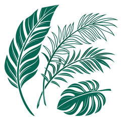 Dark green palm leaves vector graphic tropical foliage