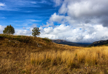 Autumn on a high-altitude plateau, dried plants on a sunny morning and awakening in nature