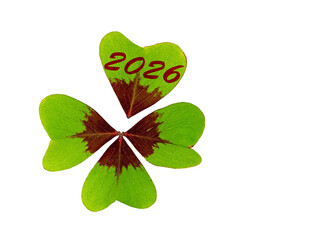 Glücksklee mit der Aufschrift 2026 vor weißem Hintergrund