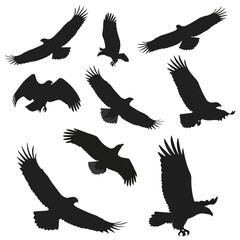 Collection of Eagle Silhouettes in Various Flying Poses.