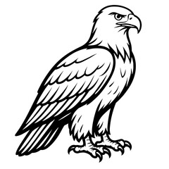 Fototapeta premium Eagle illustration in black and white line art style 