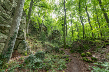 Beautiful green forest Hiking path with Sandstone chalk rock formations in Berdorf Mullerthal Luxembourg