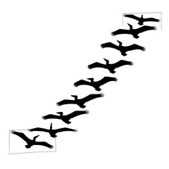 Flock of Birds Flying in Formation Across a White Background.