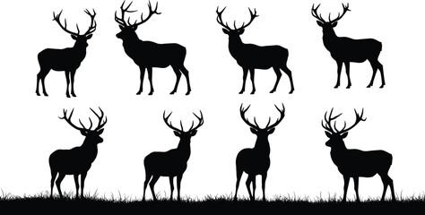 Silhouettes of Male Deer with Antlers in Various Poses on Grass — Wildlife Vector Illustration for Nature, Hunting, and Animal Design Projects